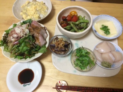 栄養バランス 食事の色