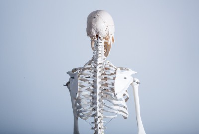 普段使えていない呼吸筋