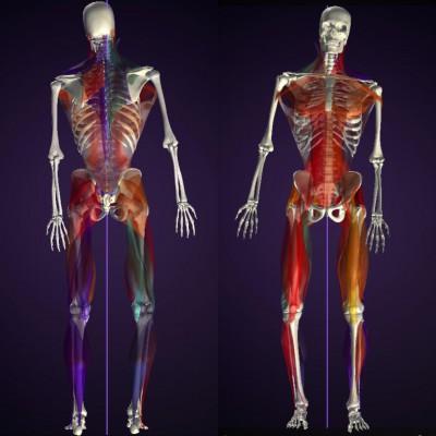 藤沢 パーソナルトレーニング peak a body【ピーク ア ボディ】まとめ2