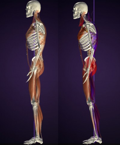 藤沢 パーソナルトレーニング peak a body【ピーク ア ボディ】まとめ1