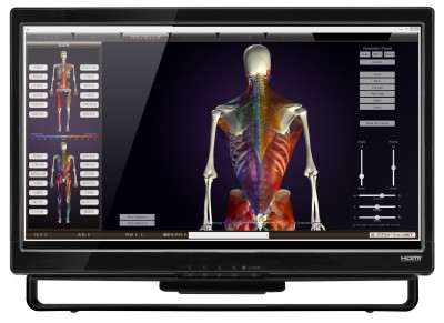 藤沢 パーソナルトレーニング COMFYの姿勢分析peak a body