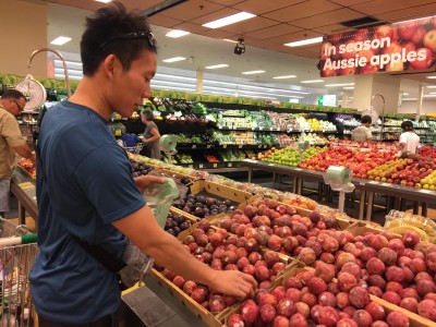 オーストラリアの選手帯同で気が付いたこと 食事編①