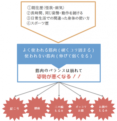 姿勢 猫背 メカニズム