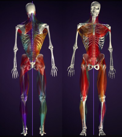 【お客様の声】バランストレーニング Sさん①