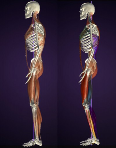 【お客様の声】バランストレーニング Sさん②