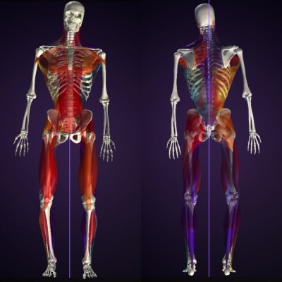 【お客様の声】バランストレーニング Kさん②