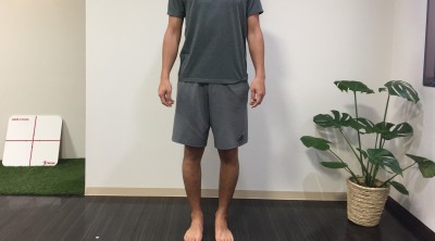 下半身の筋肉バランス