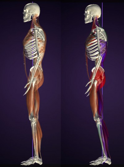 【お客様の声】バランストレーニング Yさん①