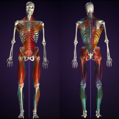 サーフピラティス お客様の声 S様 before front&back