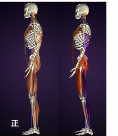 バランストレーニング お客様の声 A様 女性3