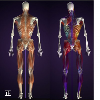 バランストレーニング お客様の声 T様 女性 2