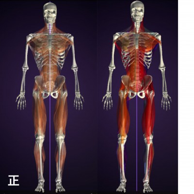 バランストレーニング お客様の声 K様 女性 1