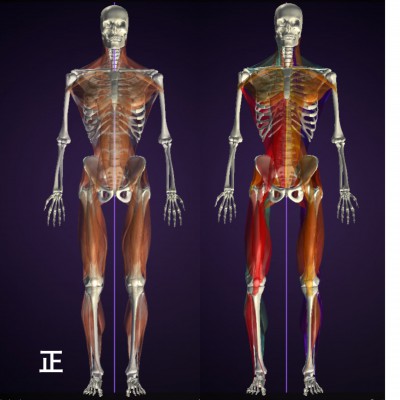 バランストレーニング お客様の声 A様 女性4