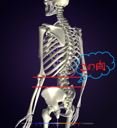 便秘に効く。お腹のびのび体操 2