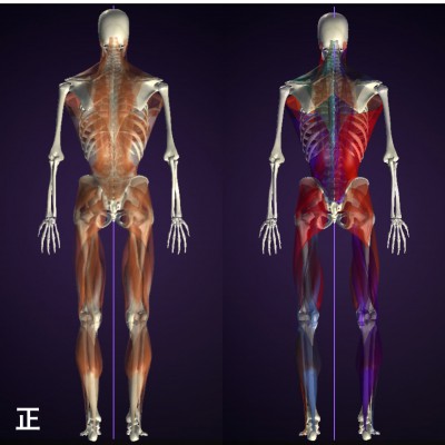 バランストレーニング お客様の声 K様 女性 2