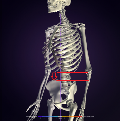 便秘に効く。お腹のびのび体操 1