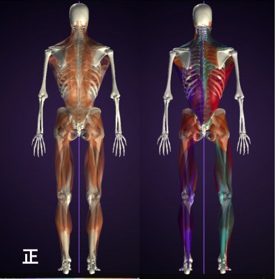 バランストレーニング お客様の声 A様 女性5