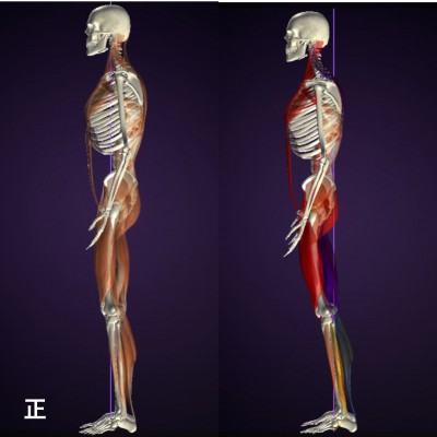 バランストレーニング お客様の声 M様 女性3