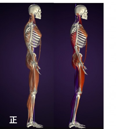 バランストレーニング お客様の声 K様 女性 3