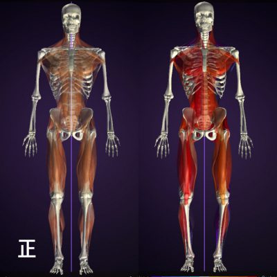 後面(背中側)を使っていない例 前側