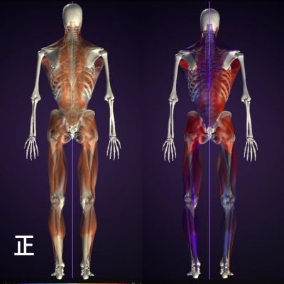後面(背中側)を使っていない例 後面