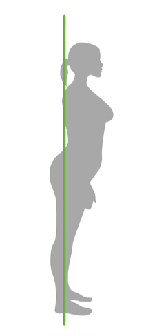 藤沢 パーソナルトレーニング 3つの体型 反り腰型 