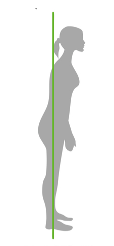 藤沢 パーソナルトレーニング 3つの体型 腰カチコチ タイプ