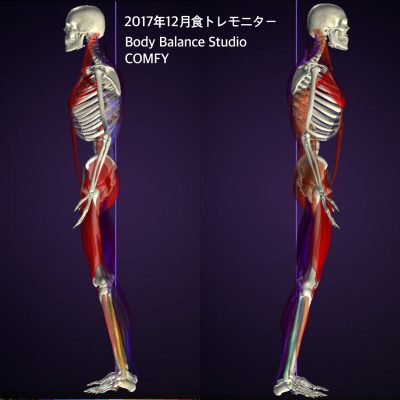 くびれ専門 ボディバランススタジオCOMFY 管理栄養士のオンラインで食トレ その② 姿勢分析2