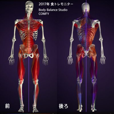 くびれ専門 ボディバランススタジオCOMFY 管理栄養士のオンラインで食トレ その② 姿勢分析1