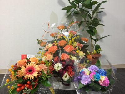 くびれ専門 ボディバランススタジオCOMFY 祝1周年