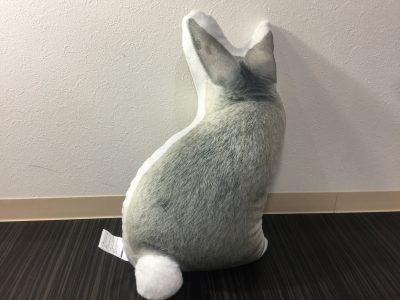 くびれ専門 ボディバランススタジオCOMFY 祝1周年 6