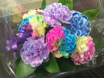 くびれ専門 ボディバランススタジオCOMFY 祝1周年 2