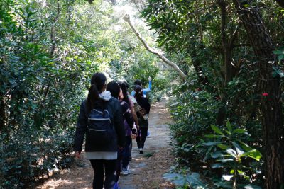 ヒップアップウォーキングの経路