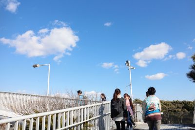 ヒップアップウォーキングで国道134号を歩く