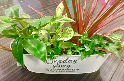 くびれ専門 ボディバランススタジオCOMFY ボタニカル始めました。 3