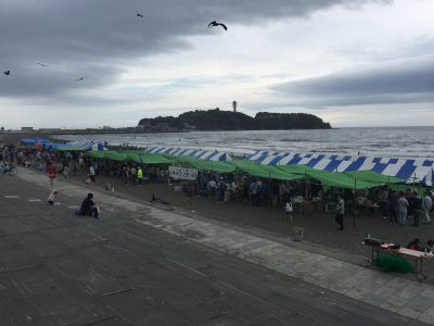 ヒップアップウォーキング で見られる江の島