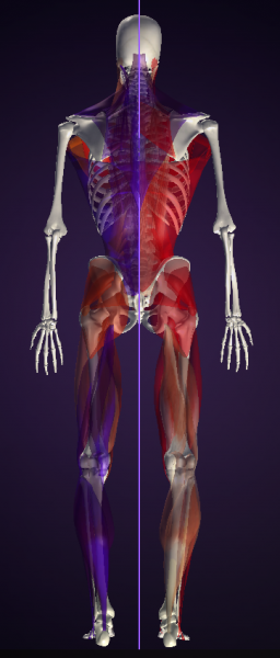 普段使っていない筋肉は思い通りに動かない E様