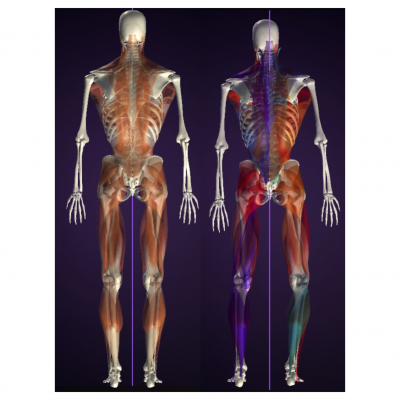 中野様 Beautyバルクアップ筋肉バランス2