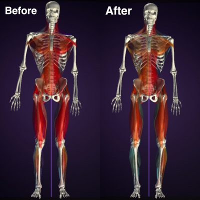 ウォーキングの結果 後ろ