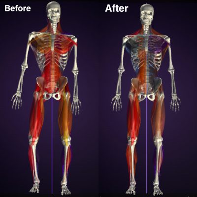 トレーニングの結果 前