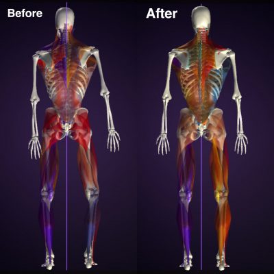 トレーニングの結果 後
