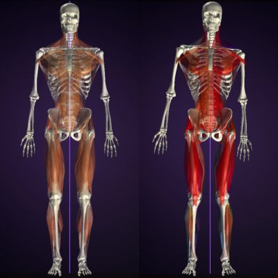 ウォーキング姿勢 事例 前