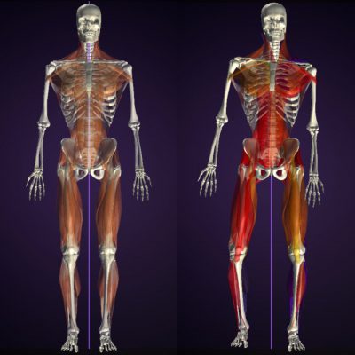 ウォーキング姿勢 事例紹介 前