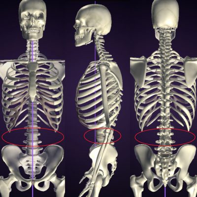 ウエストラインは筋肉で作る