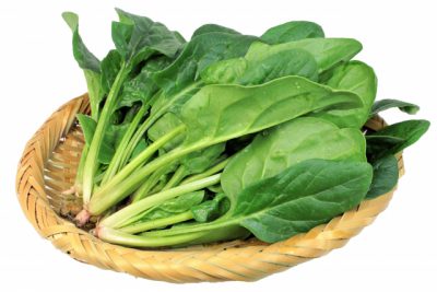 朝ベジ 管理栄養士おすすめ野菜 ほうれん草