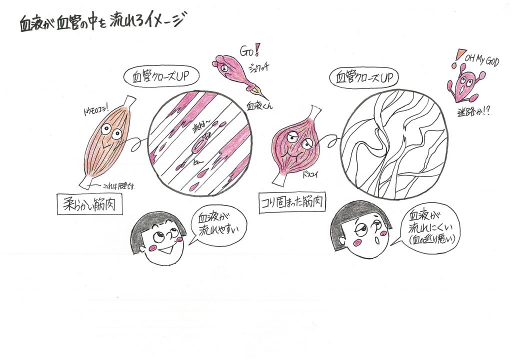 血液が血管の中を流れる