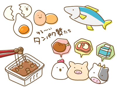 動物性タンパク質と植物性タンパク質