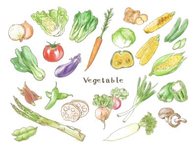 野菜のタンパク質で筋肉をつける