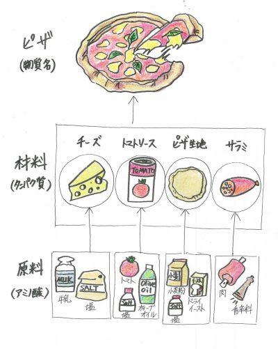 タンパク質とアミノ酸